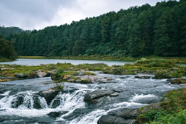 Ooty & Kodaikanal Hill Escape 3